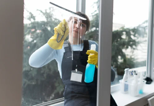Nettoyage de vitres intérieures et extérieures au Palais